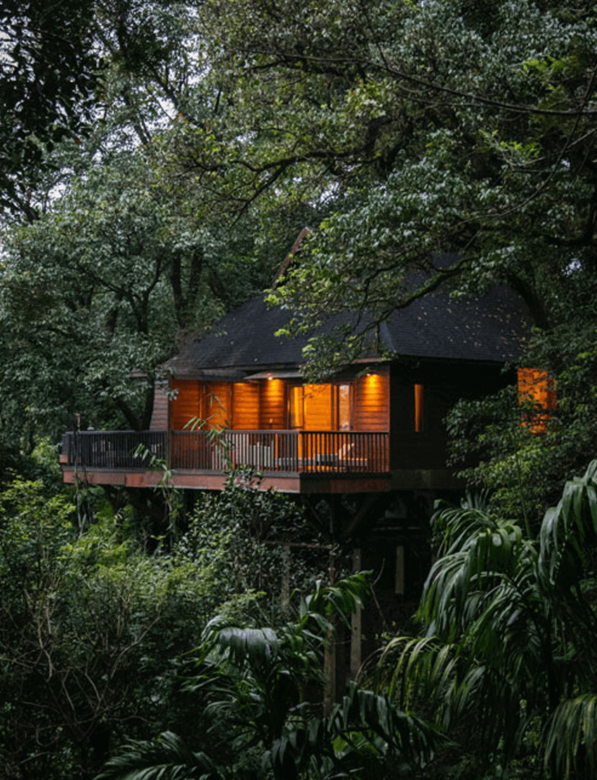 Tamara Coorg